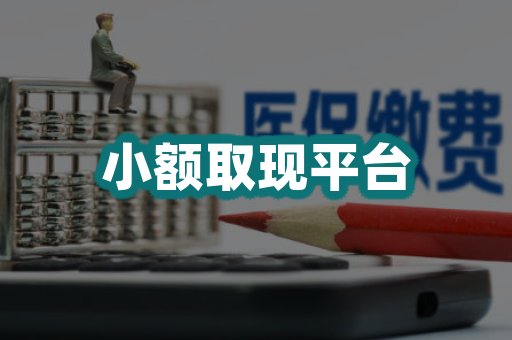 小额取现平台